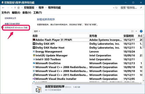 Win10系統安裝IIS互聯網信息服務完整指南